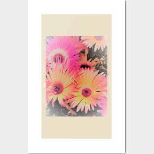 HAZY NEON  DAISIES House of Harlequin Posters and Art